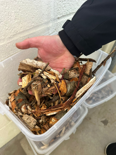 “Lielās” Daugavpils apkaimes šobrīd apkurina tikai ar koksnes šķeldu